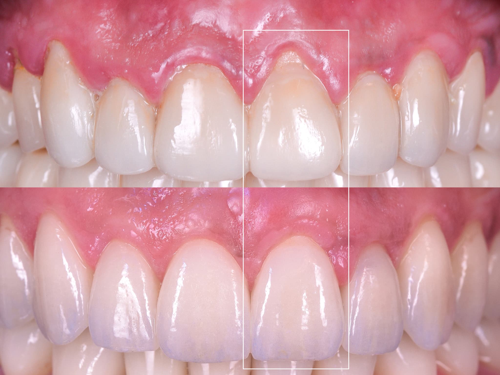 DSC 2421 - 2196 crop-1